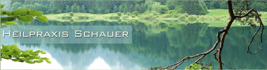Heilpraxis Schauer